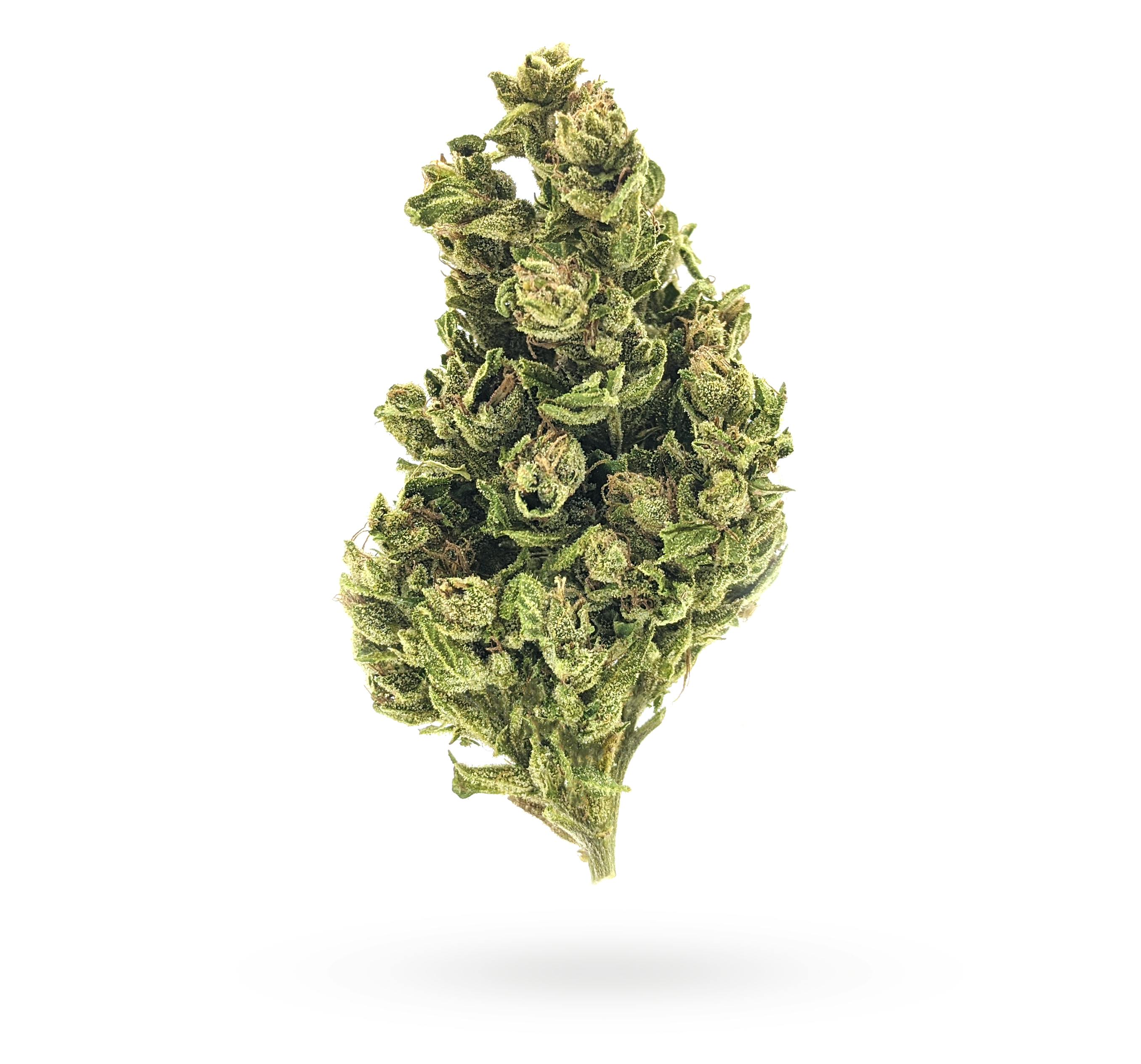 Humboldt Growers Network - 3.5G SAFARI FLOWER - 1