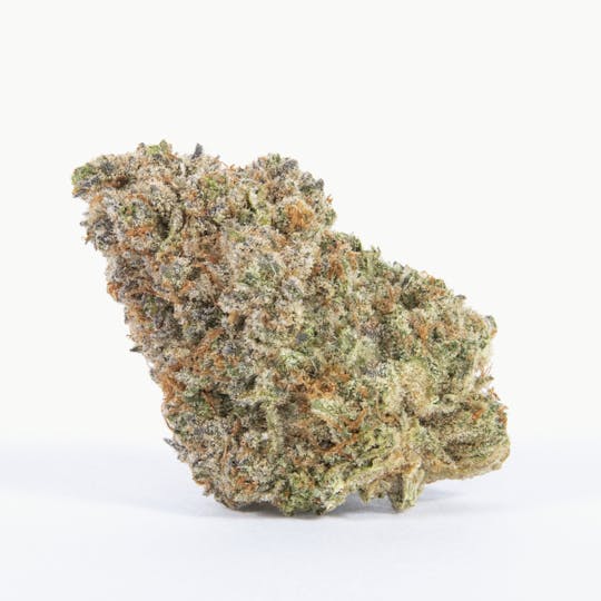 Pure Beauty - Rainbow Volunteer | 3.5g Indoor - 1