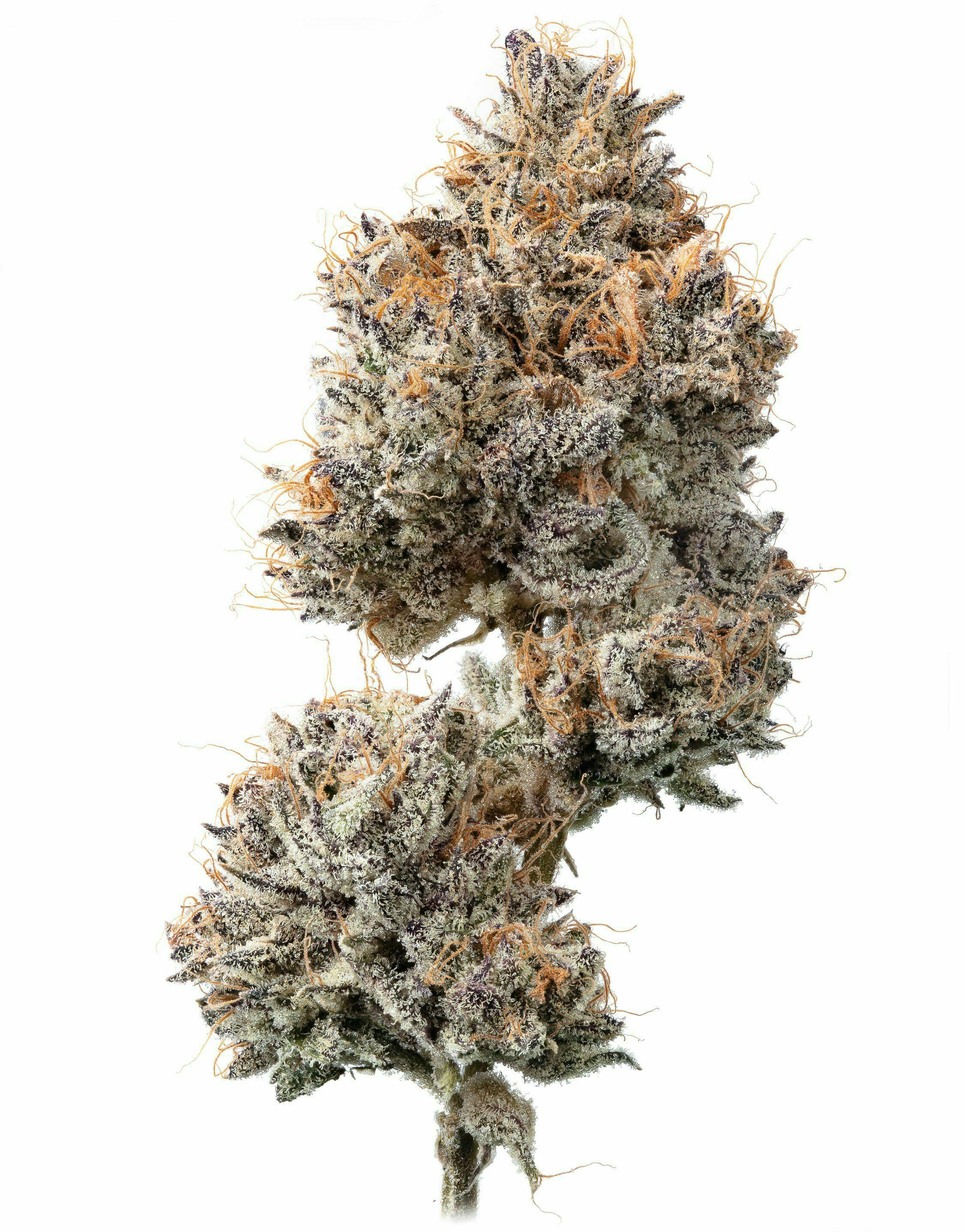 Unicorn Tears - Ice Cream Cake - 1