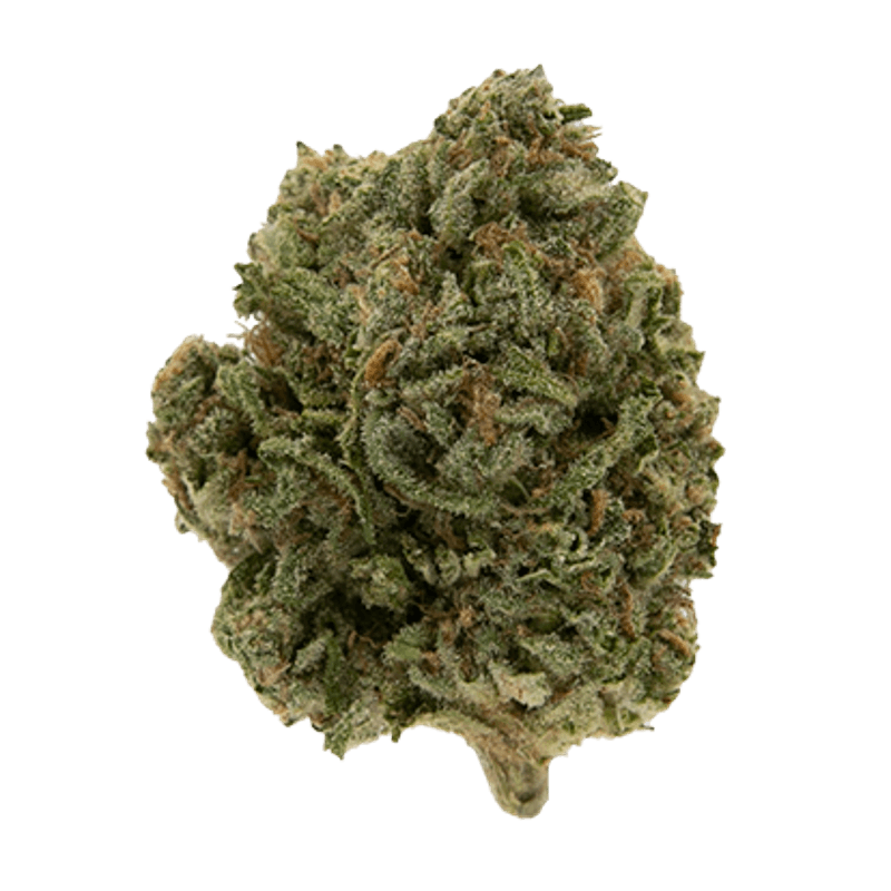 Smoakland - Smoakland Black | Blue Dream | Big Buds | 14g - 1