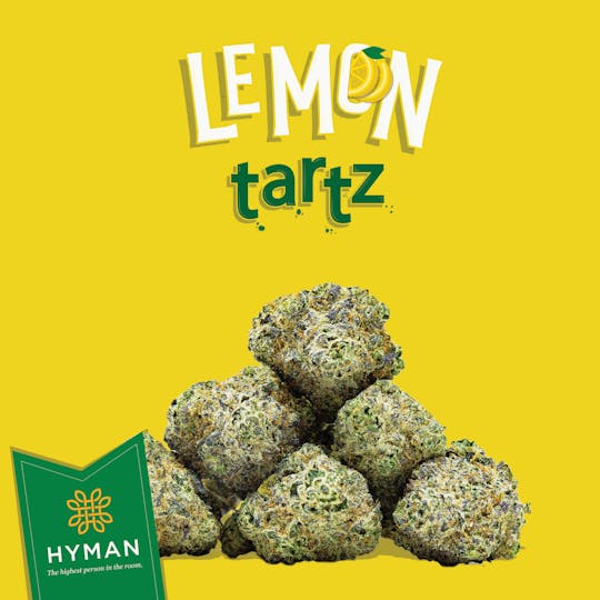 HYMAN - Lemon Tartz | 3.5G Pre-Pack | HYMAN | MED - 1