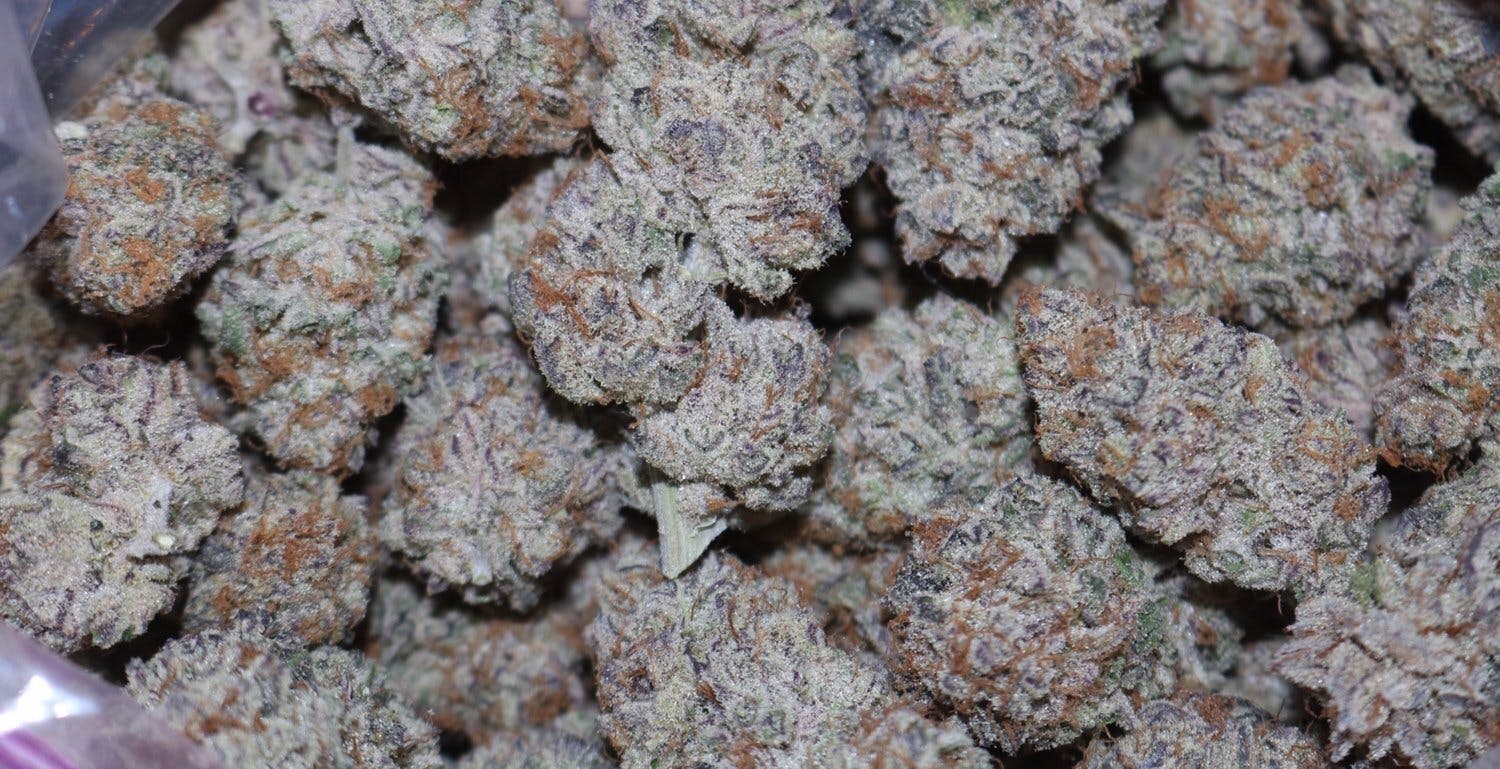 The Frost Factory - Purple Punch - 1