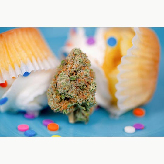 Great Northern Cannabis - Great Northern Cannabis Cupcake (Indica) - 1
