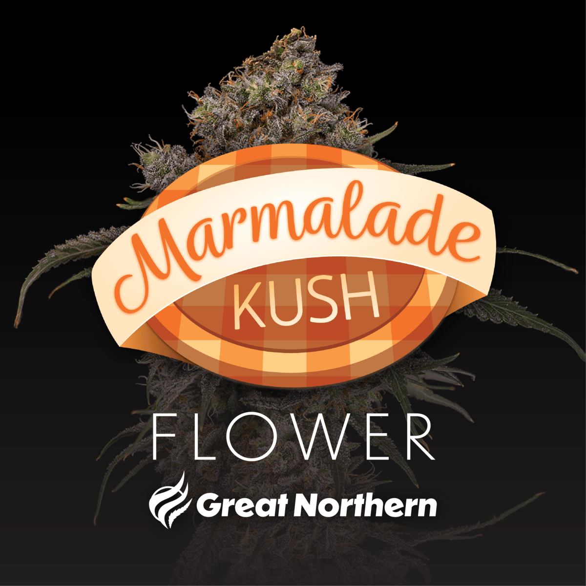 Great Northern Cannabis - Great Northern Cannabis Marmalade Kush (Hybrid) - 1