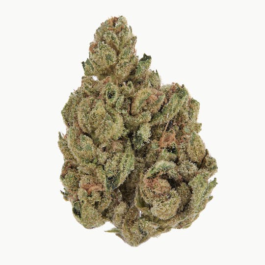 Casacanna - Slurricane - 1
