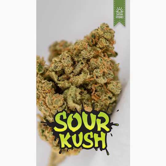 Great Northern Cannabis - Great Northern Cannabis Sour Kush Flower (Sativa) - 1