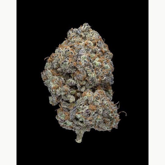 Oregon Roots - Mo'Bama (Oregon Roots Exclusive) - 1