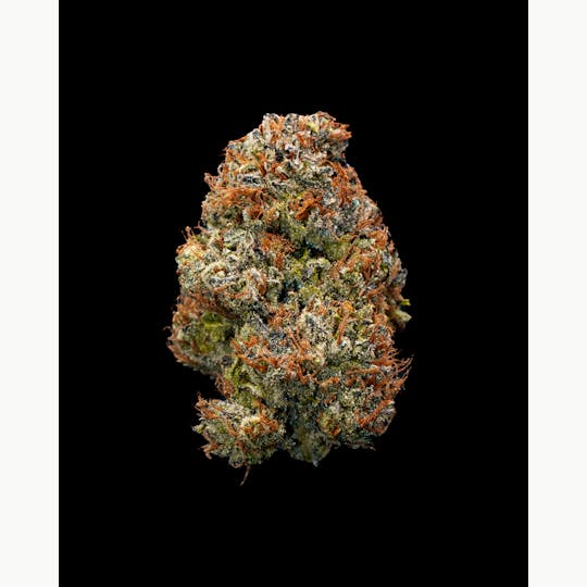 Oregon Roots - Scary Cherry (Oregon Roots Exclusive) - 1
