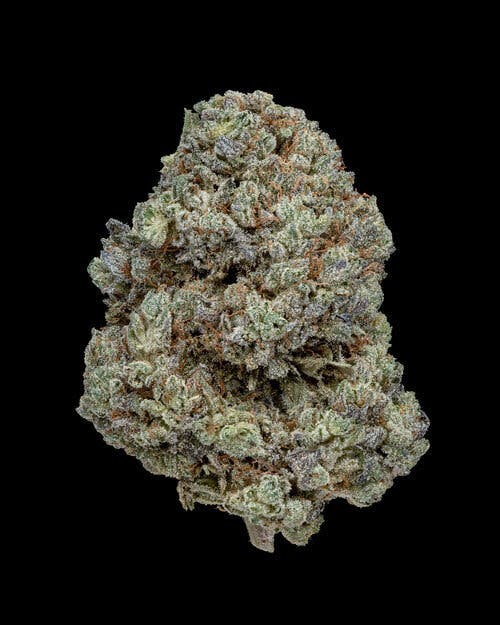 Oregon Roots - Tomahawk - 1