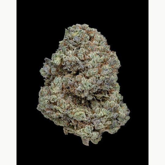 Oregon Roots - Tomahawk - 1