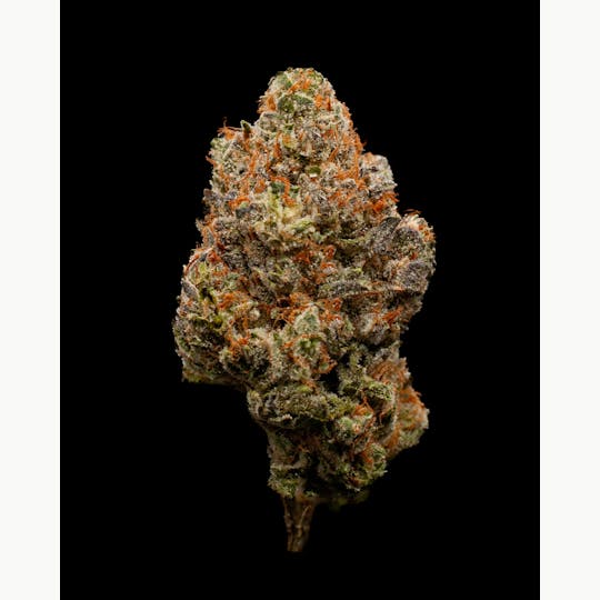 Oregon Roots - Strawberry OG - 1