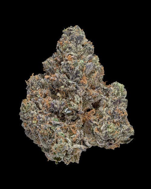 Oregon Roots - Forum Cut Girl Scout Cookies - 1