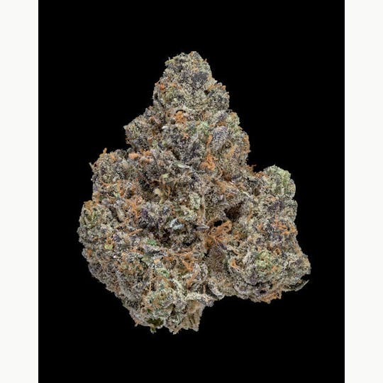 Oregon Roots - Forum Cut Girl Scout Cookies - 1