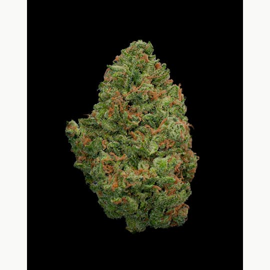 Oregon Roots - 9 Pound Hammer - 1