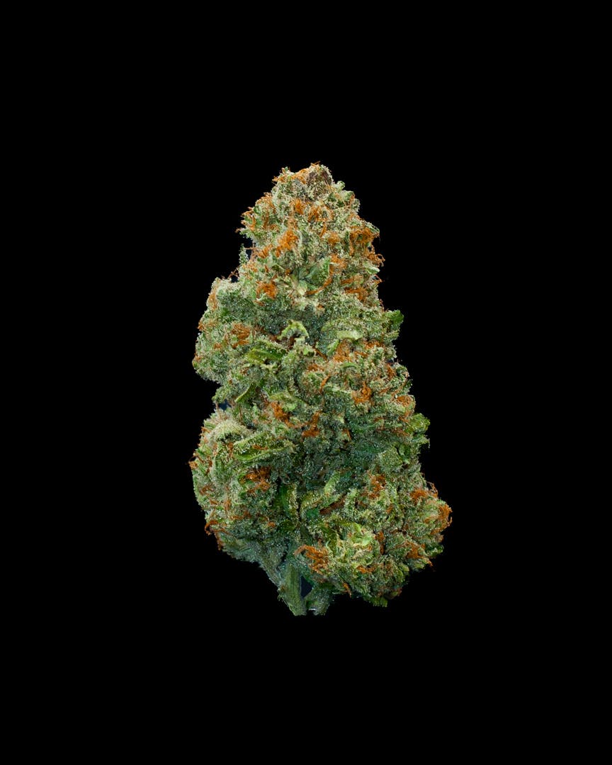 Oregon Roots - Cinderella 99 - 1