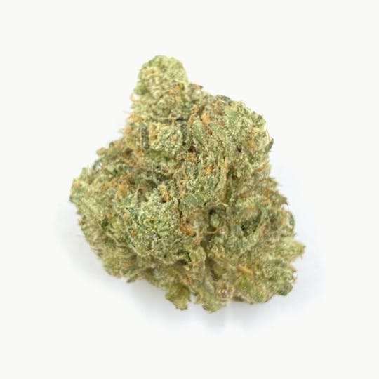 Unicorn Tears - Jokerz - 1