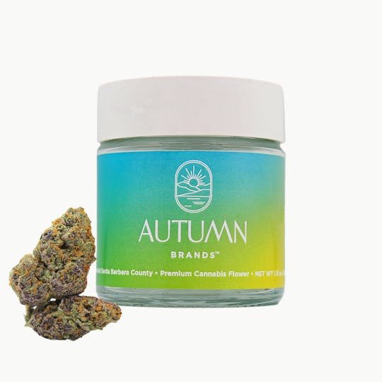 Autumn Brands - Tropicana Cookies F2 - 1