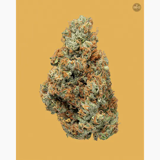 Kind & Co - Tangilope - 1