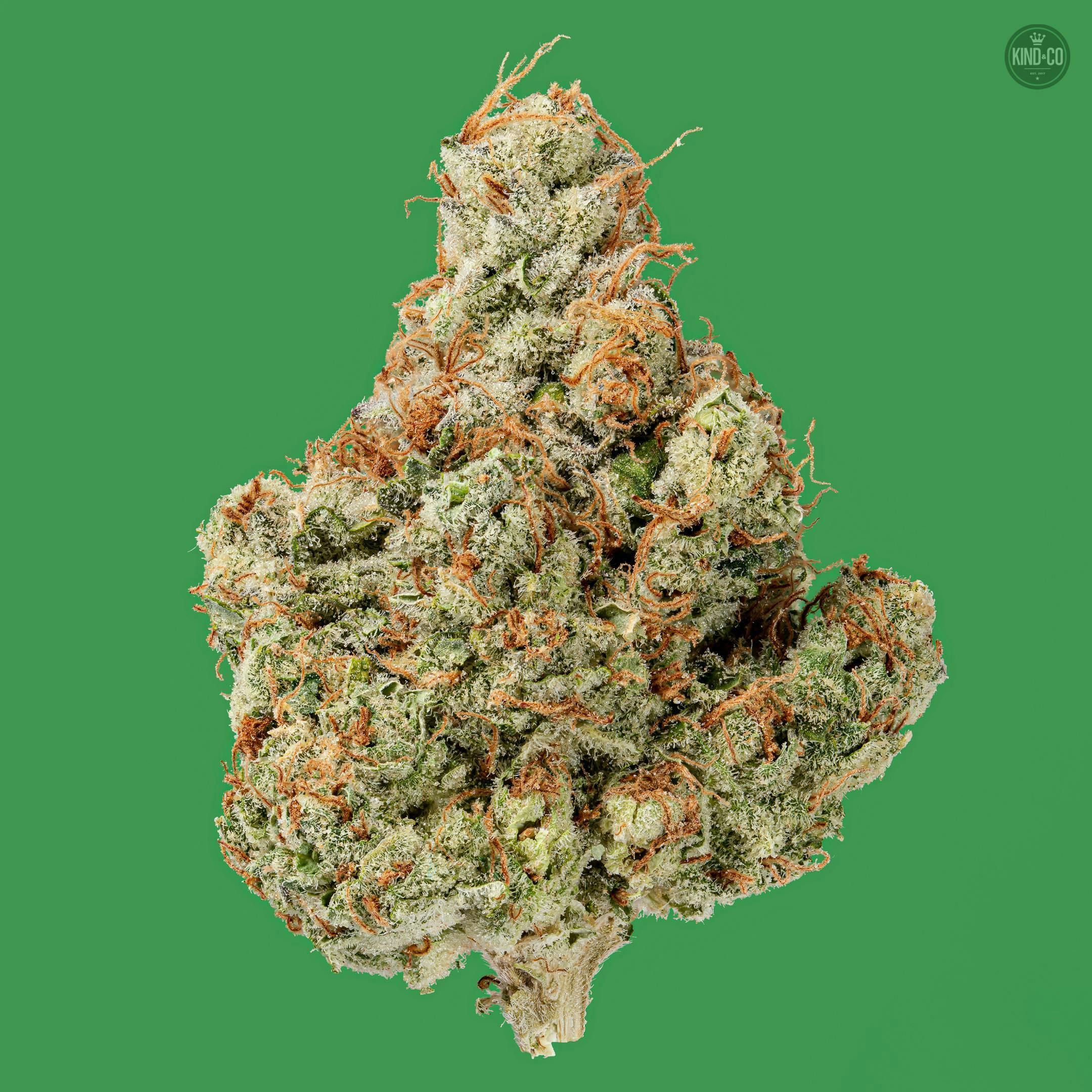 Kind & Co - Sour Papaya - 1