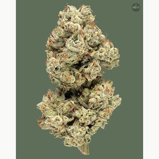 Kind & Co - GG4 - 1