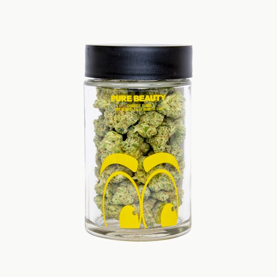 Pure Beauty - Time Wave | 14.17g Indoor - 1