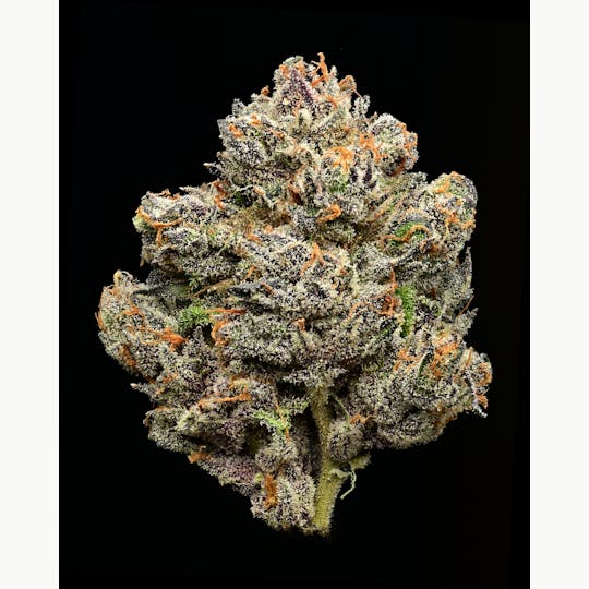 Fire Bros. - EWOK by Fire Bros. - 1