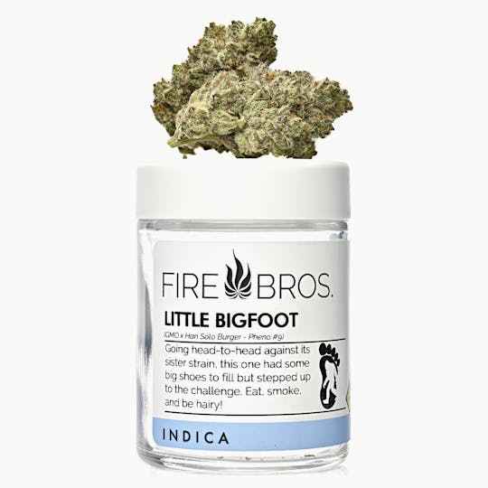 Fire Bros. - Little Bigfoot - 1