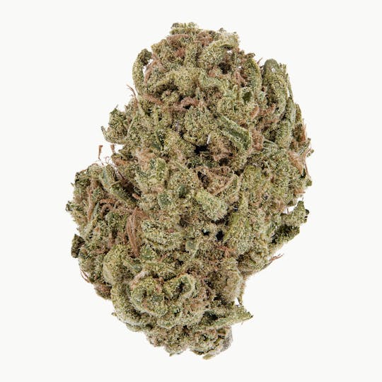 Casacanna - Blue Dream - 1