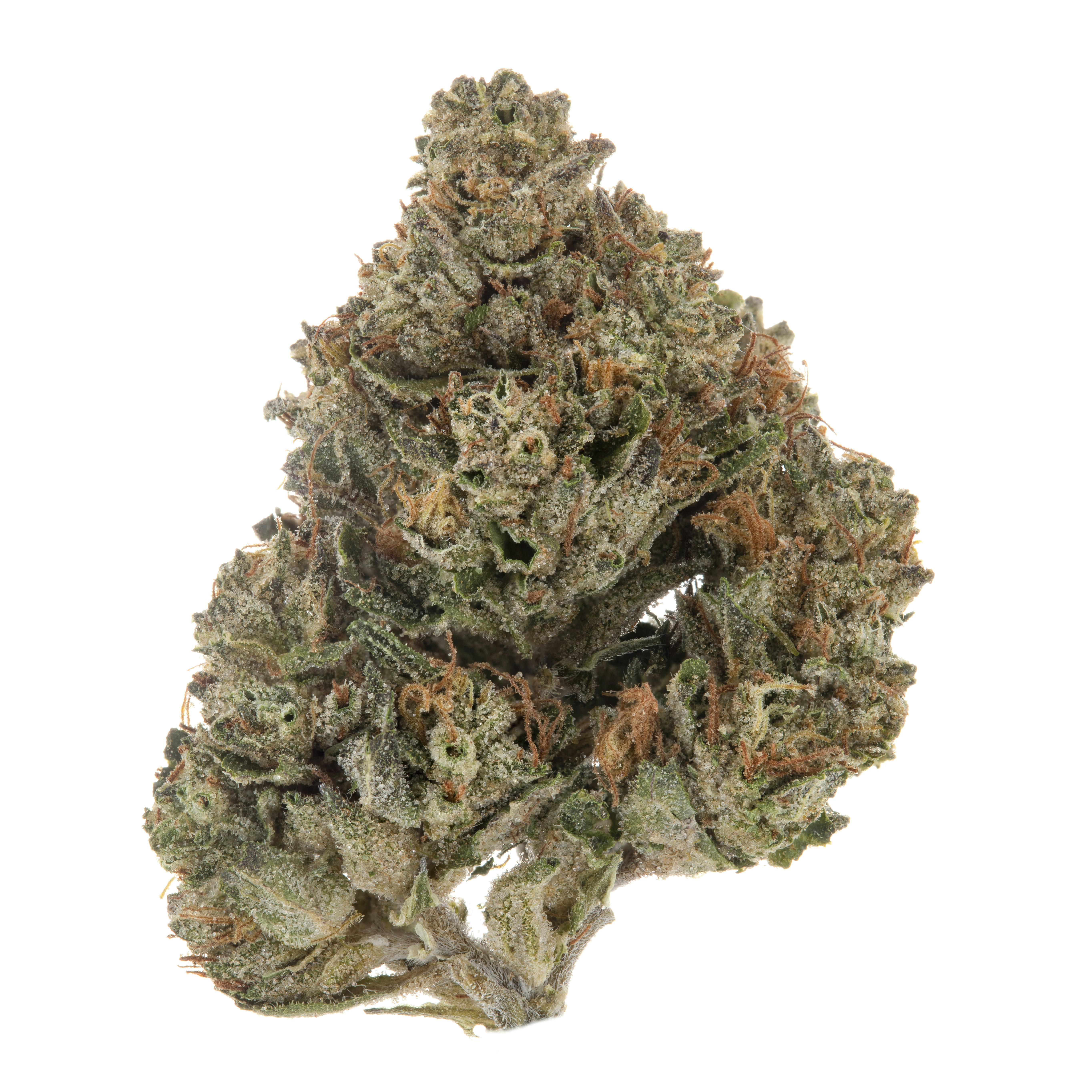 Casacanna - Headstash - 1