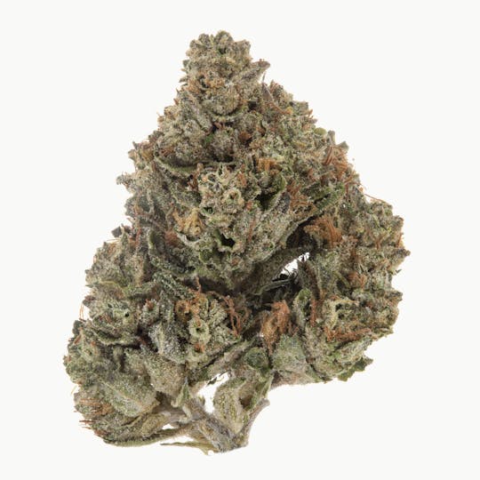 Casacanna - Headstash - 1