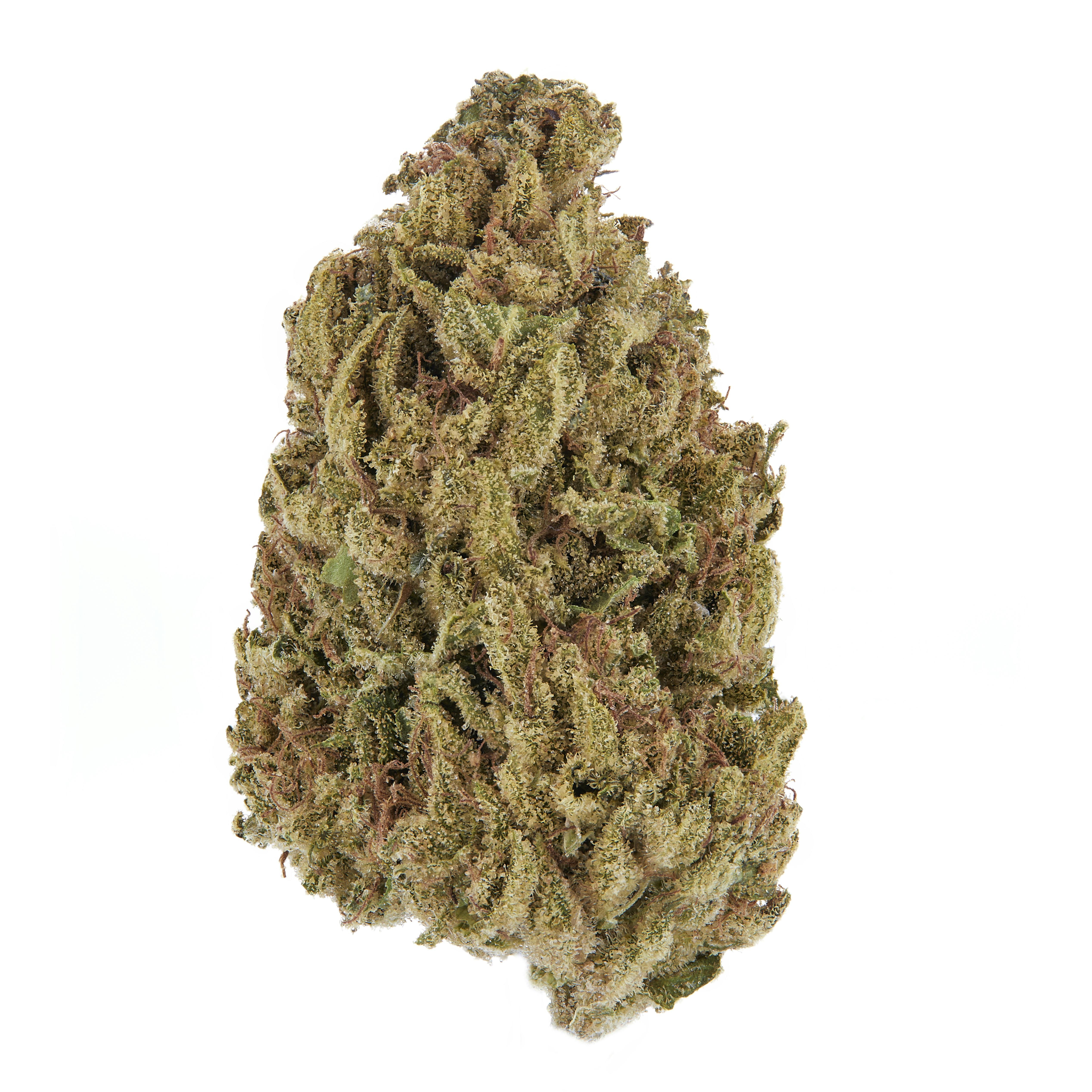 Casacanna - Mimosa - 1