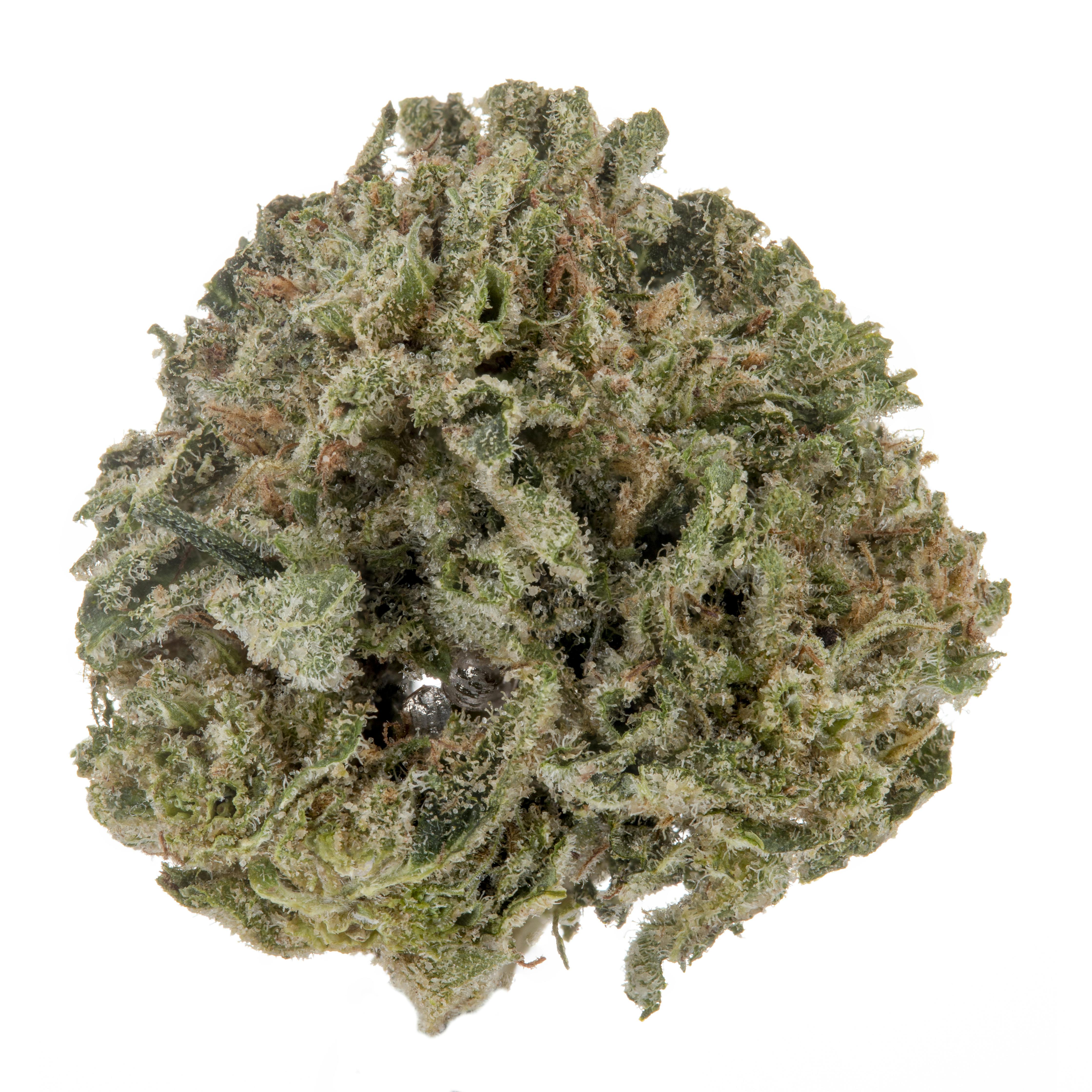 Casacanna - Moon Drops - 1