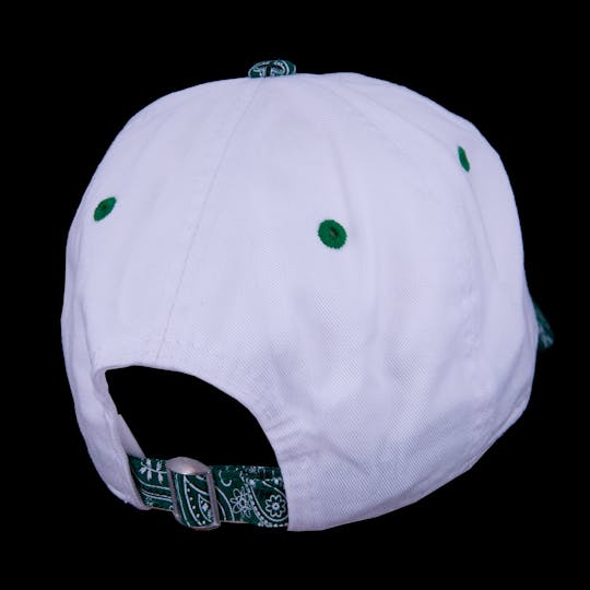 Bak'd - Bak'd Strapback Paisley Hat Collegiate (Green) - 1