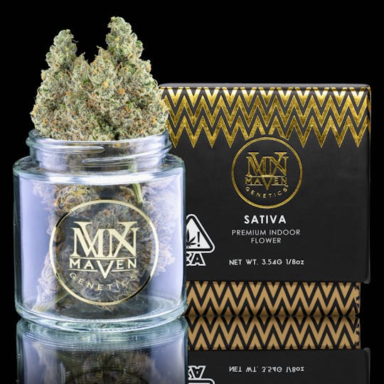 Maven Genetics - Ajo Blanco - 1