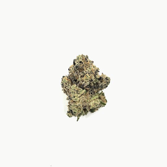 Indico - Apple Mac - 1