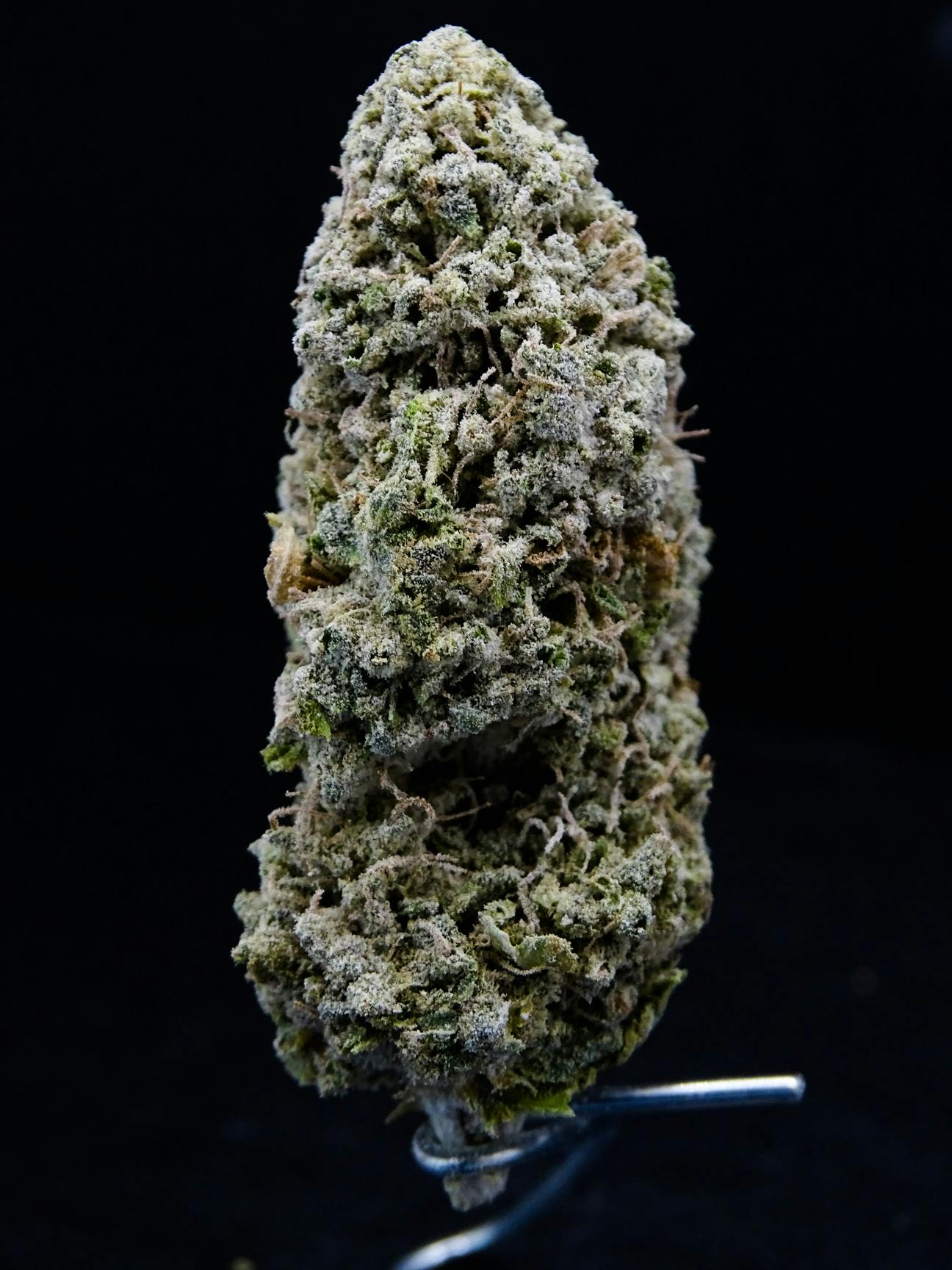 High Noon Extracts - Asteroids - 1