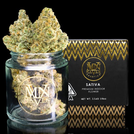 Maven Genetics - Strawberry Cava - 1