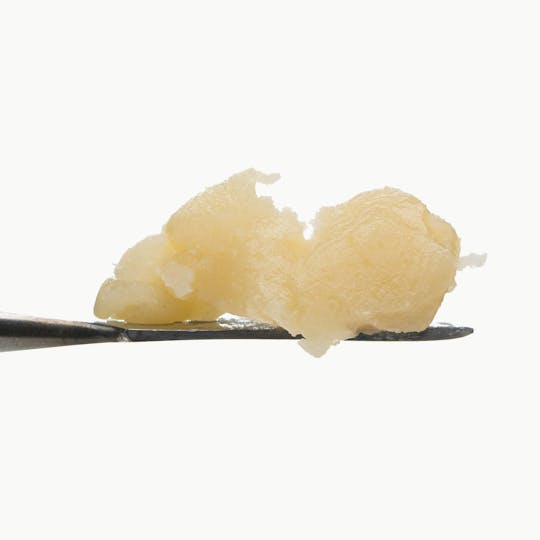 SAVAGE - Buttercream Gelato Live Resin T2 Badder - 1