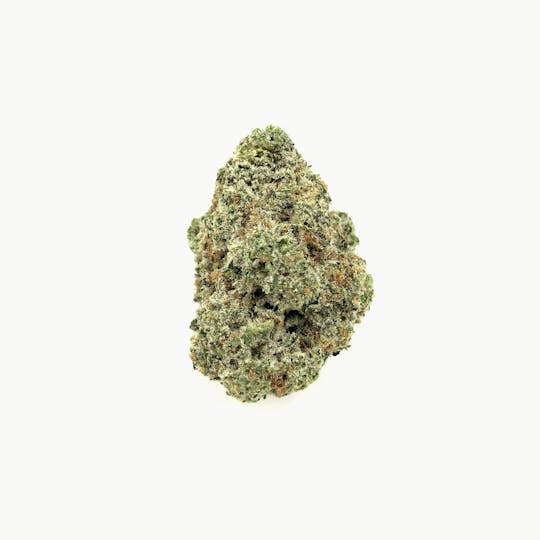 Indico - Wedding Crasher - 1