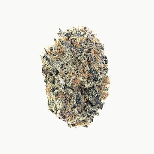Indico - Black D.O.G - 1