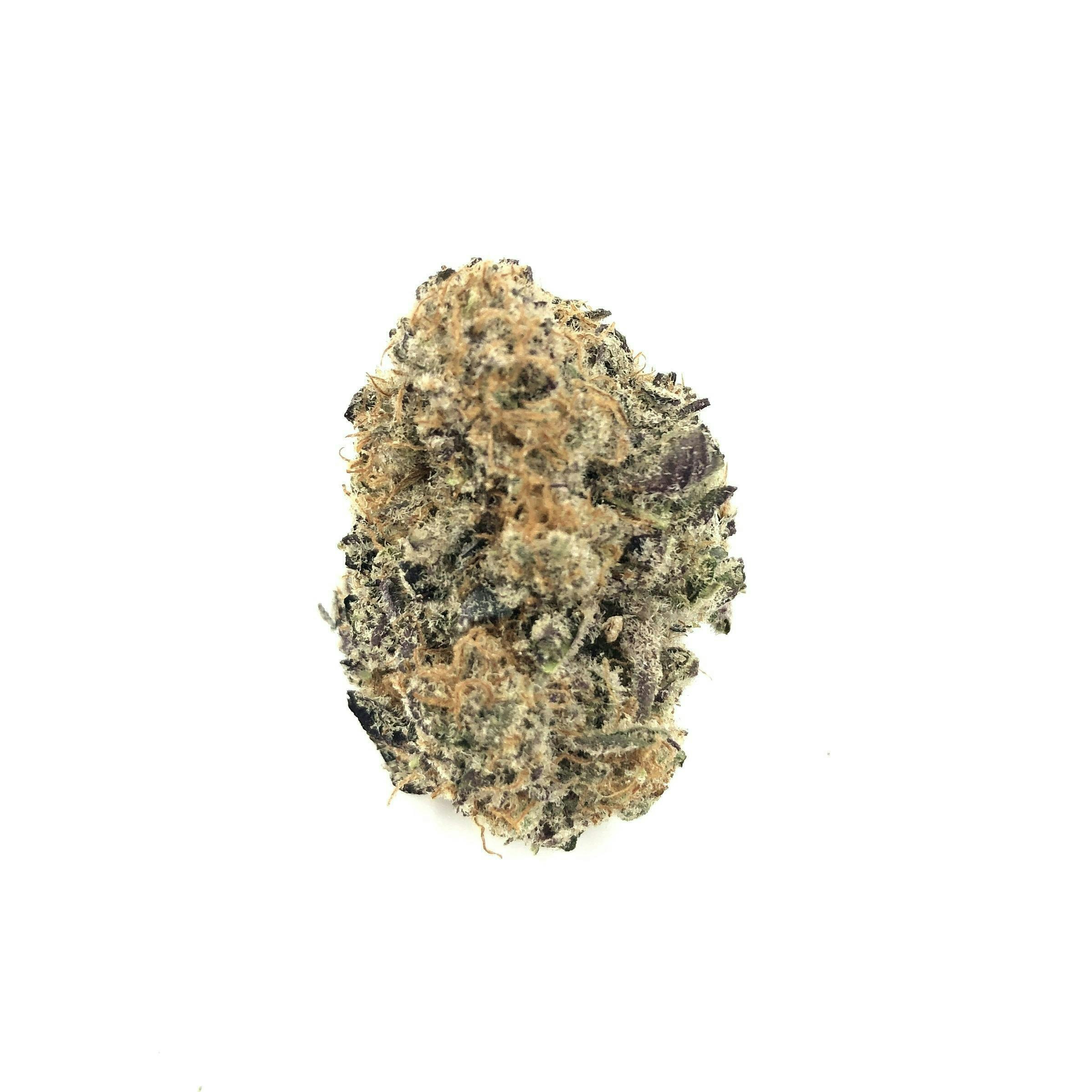 Indico - Mendocino Purp - 1