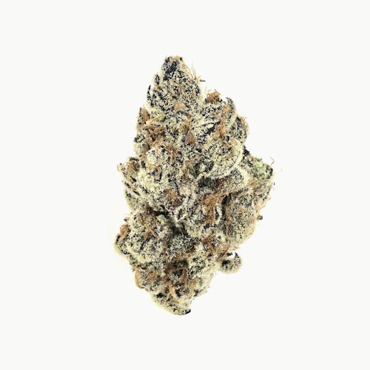 Indico - Tropicana Cherry - 1