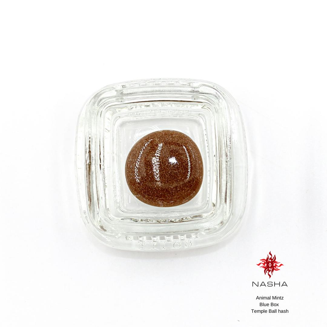 NASHA - Animal Mintz Blue Temple Ball Hash - 1