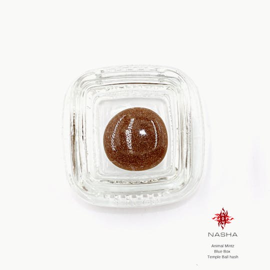 NASHA - Animal Mintz Blue Temple Ball Hash - 1
