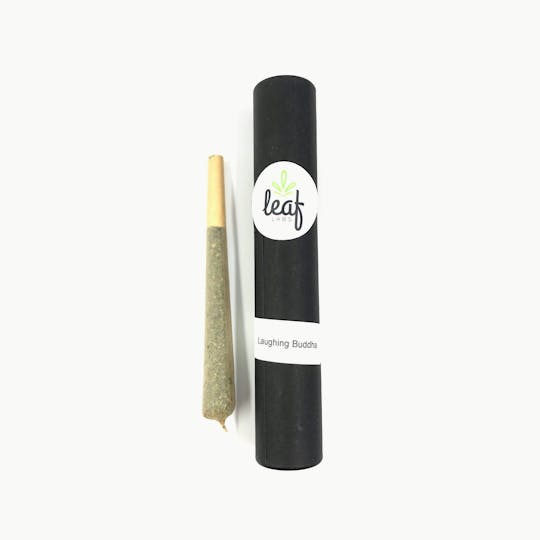 Indico - Laughing Buddha 1g Pre Roll - 1