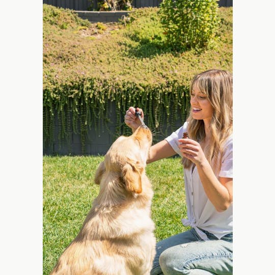 CBDfx - CBD Oil Dog Tincture 2000mg - 1