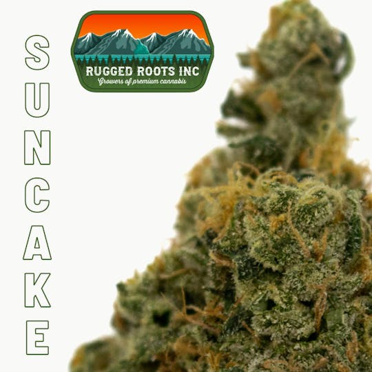 Rugged Roots - Rugged Roots - Suncake 3.5g Flower - 1