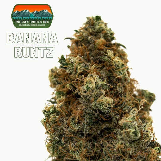 Rugged Roots - Rugged Roots | Banana Runtz 3.5g Flower - 1