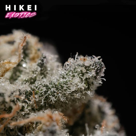 Hikei Exotics - Drippy Mintz Eightr 3.5g - 1