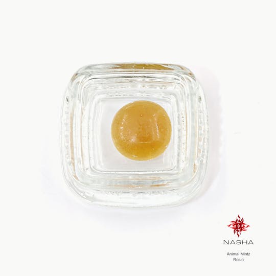 NASHA - Animal Mintz Rosin - 1